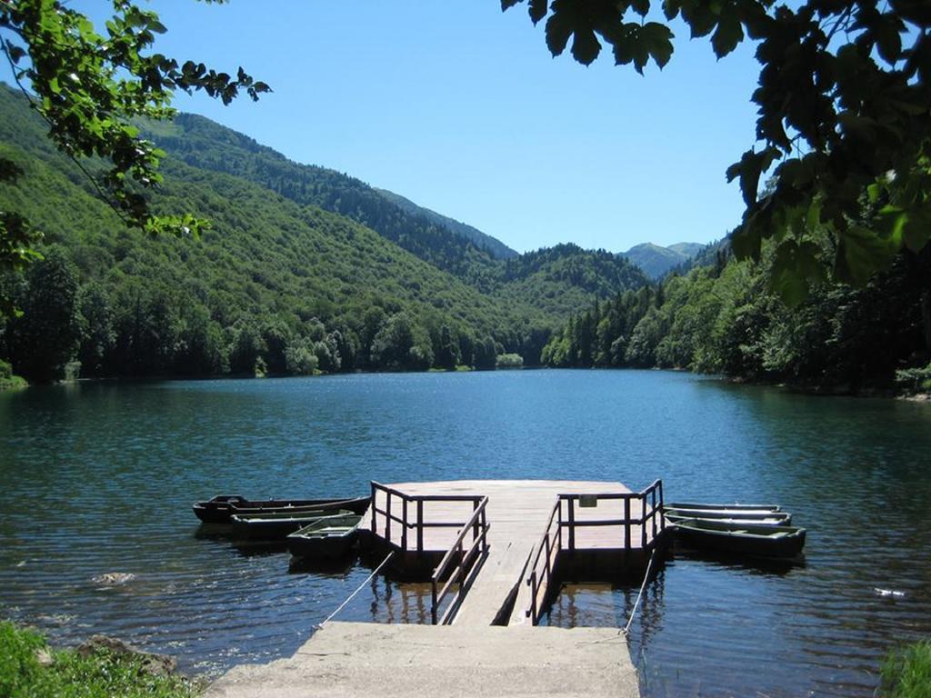 Apartments Radovic Kolašin Kültér fotó